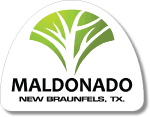 Maldonado Nursery New Braunfels Texas, Maldonado Nursery & Landscaping