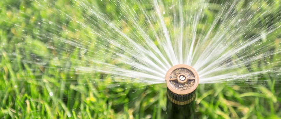 Sprinkler head watering grass